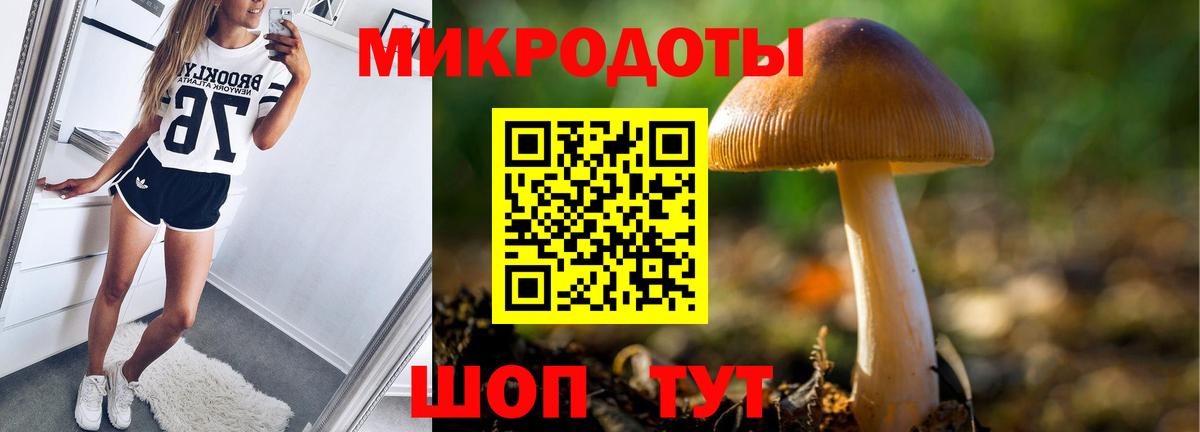 Богородск  Галлюциногенные грибы прущие грибы  купить наркотик  Вход с VPN 