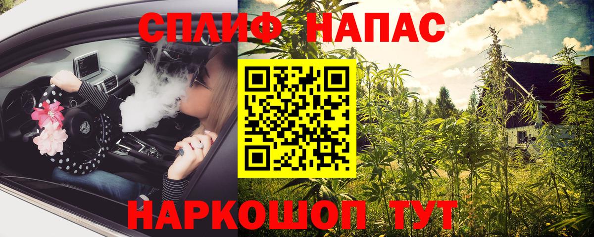 Богородск  Конопля конопля  Вход с VPN  Марихуана планчик  Бошки Шишки сатива 